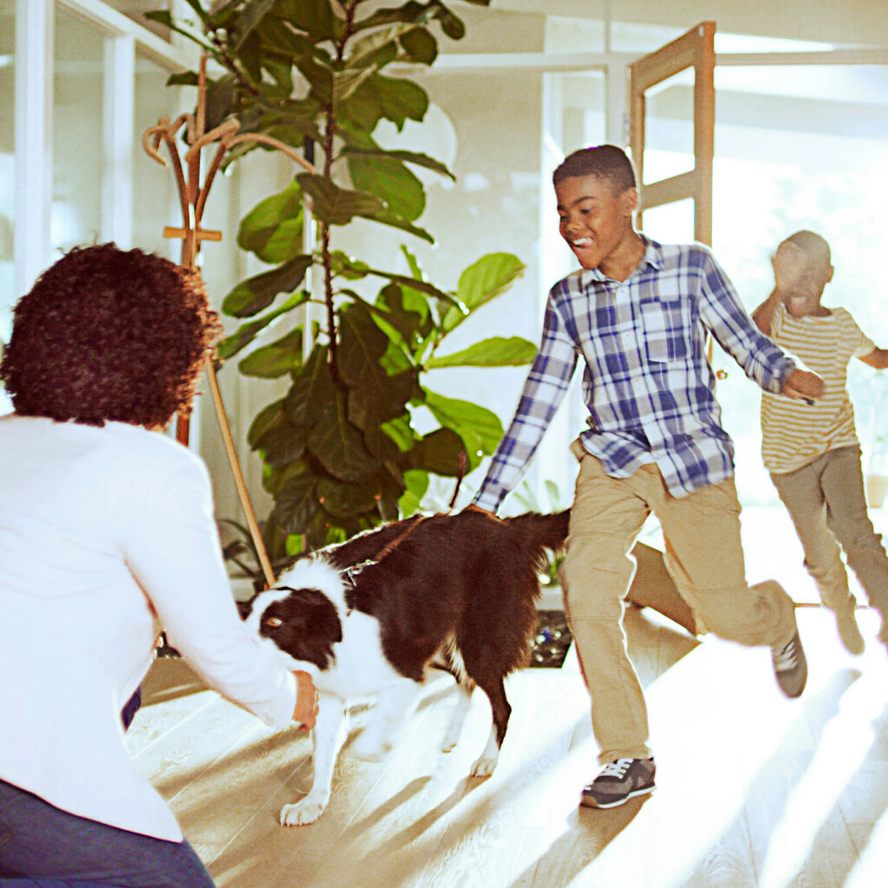 Filtrete Large Air Purifier, White, 310 ft. Coverage, Carbon True HEPA, 1 Smart Device
