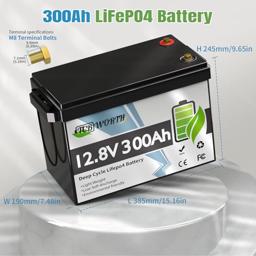 12V 100Ah LiFePO4 Battery, Rechargeabel Deep Cycle Lithium Batteries, 100A BMS with Low-Temp Protection, Perfect for RV, Solar, Boat, Marine, Trolling Motor
