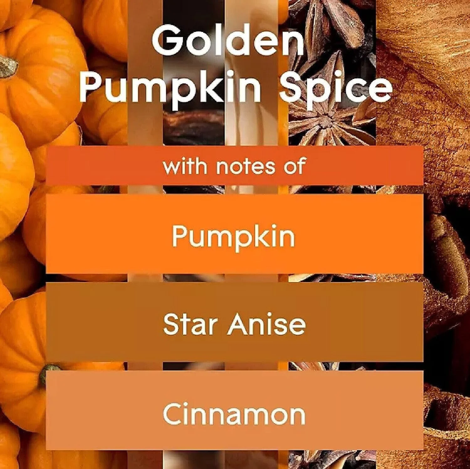 Glade PlugIns Scented Oil, 2 Warmers + 6 Refills, Pumpkin & Spice