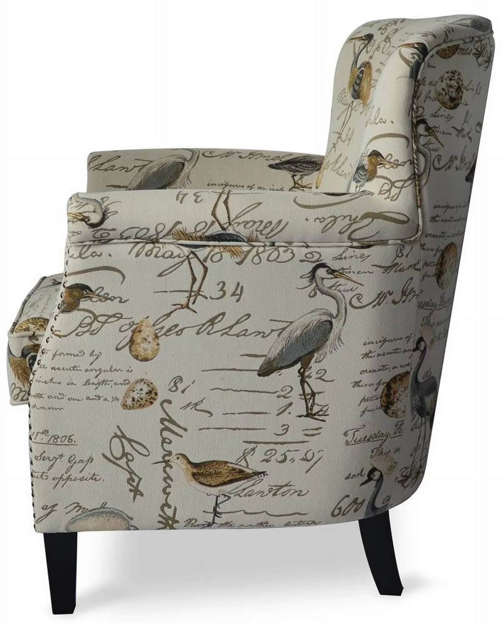 Jofran Phoebe Avian Bird Pattern Upholstered Accent Chair with Nailhead Trim