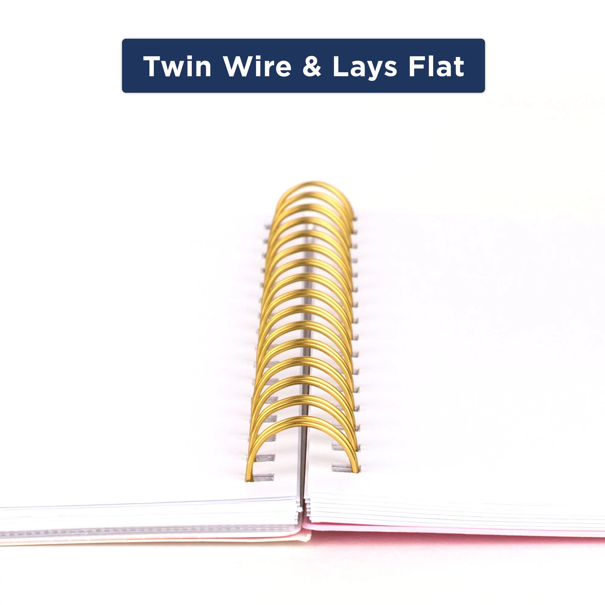 Cambridge Cher 2024 Weekly Monthly Planner Small 5 12 x 8 12 - Planners