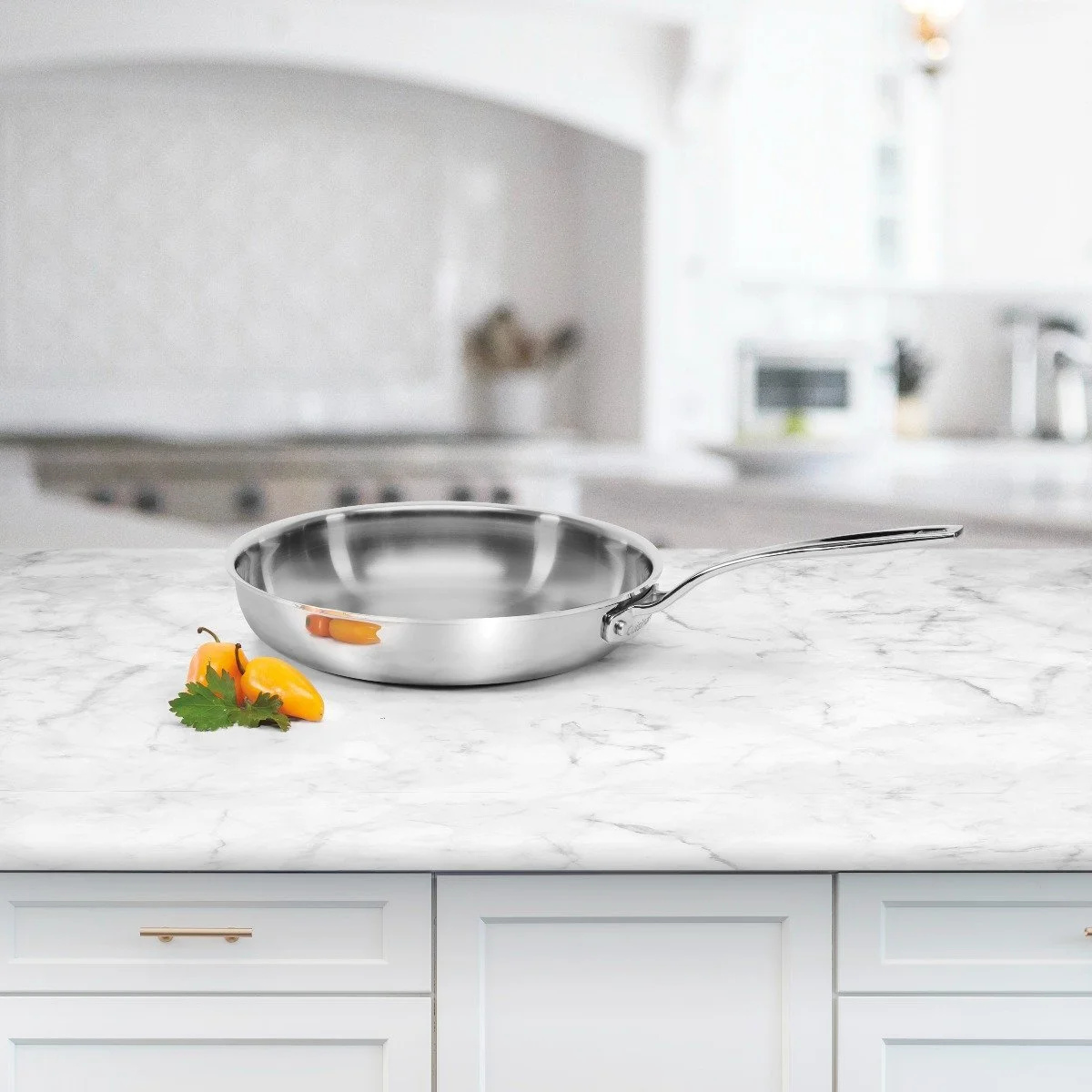 Cuisinart Custom-Clad 5-Ply Stainless Steel Fry Pan | 10