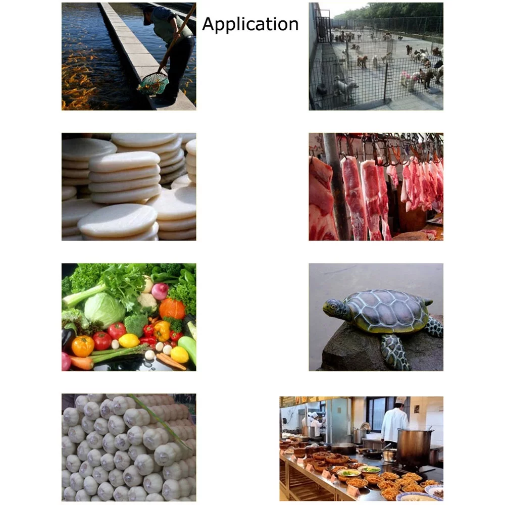 TECHTONGDA Electric Bone Crusher Feed Processer Stainless Steel Fish Chicken Meat Grinder 2.2KW 220V