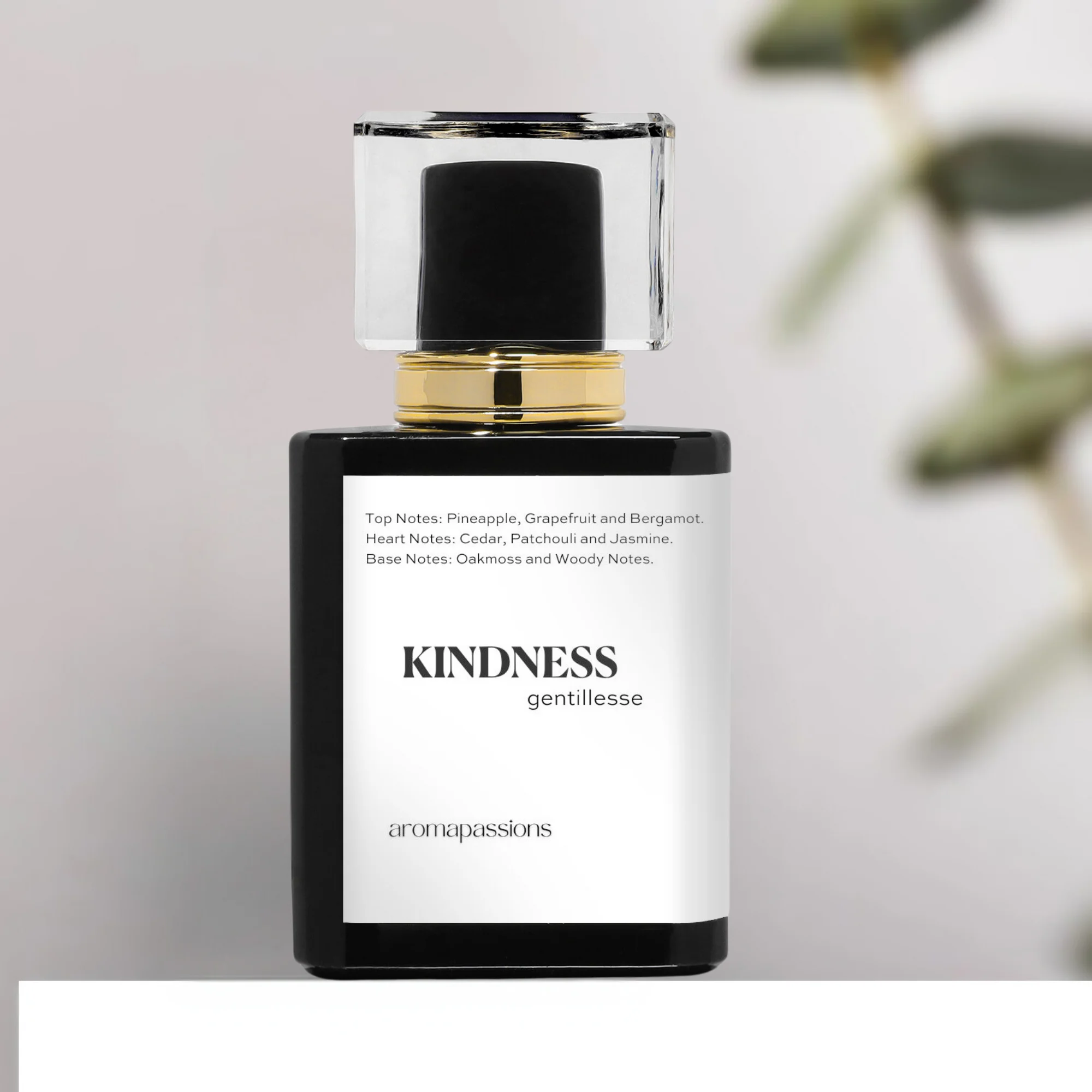 KINDNESS | Inspired by Nishane HACIVAT | Pheromone Perfume for Men and Women | Extrait De Parfum | Long Lasting
