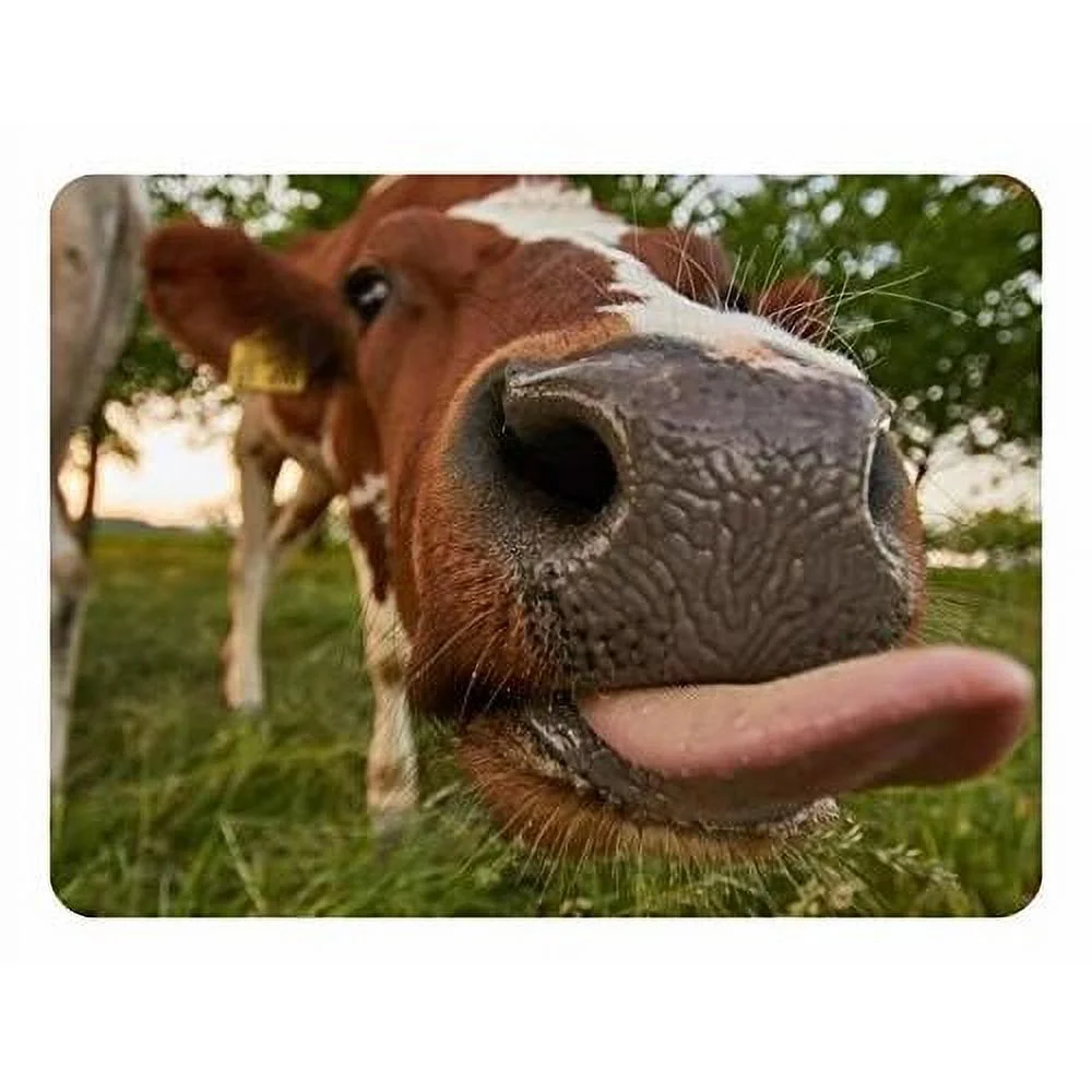 Cow Edible Image For Quarter Sheet Cake By !