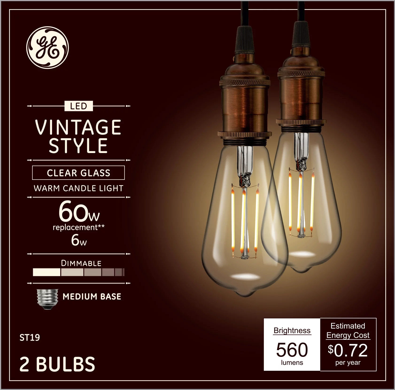 GE Vintage Style LED Edison Light Bulbs, Clear Glass, Warm Candle Light, ST19 Bulb, 2pk