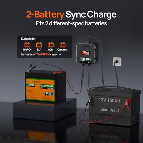 ECO-Worthy 2-Bank Marine Battery Charger 10A (5A/Bank), IP68 Waterproof 12V Charger & Maintainer for Boat RV Car, Lead-Acid LiFePO4 & Calcium Battery Desulfator