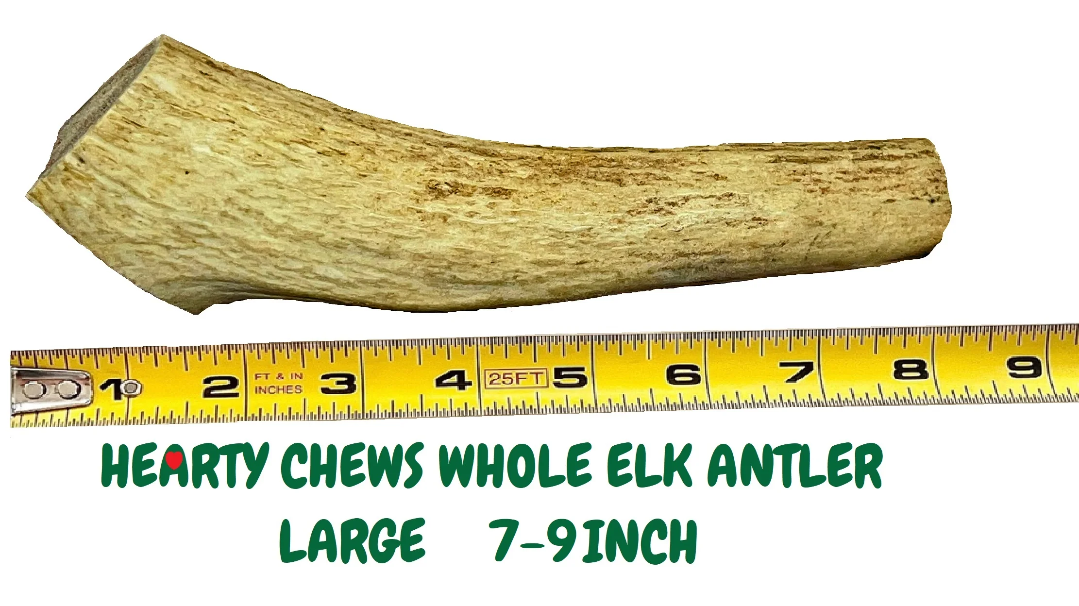Hearty Chews - Premium ELK Antler for Dogs, Naturally Shed,100% Organic Grade A Antler Dog Bone, Organic Teeth Cleaner, Lasting Nutritional Treat for your Puppy & Dog - LARGE (About 7-9 inches)