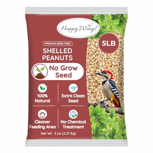 Shelled Peanuts Seeds Wild Bird Food - 5 Pounds I No Grow Seed I Bird Seed for Wild Birds