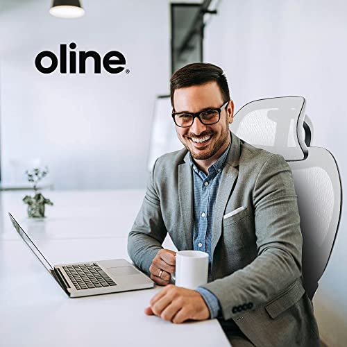 Oline ErgoPro Ergonomic Office Chair, Rolling Desk Chair with 4D Adjustable Armrest, 3D Lumbar Support, Blade Wheels, Mesh Computer Gaming Executive Swivel Chairs Chair (Black)