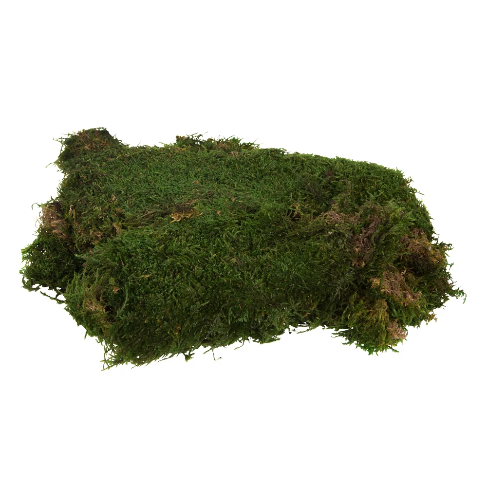 Vickerman 1.1 Lbs Bag of Green Sheet Moss, Preserved