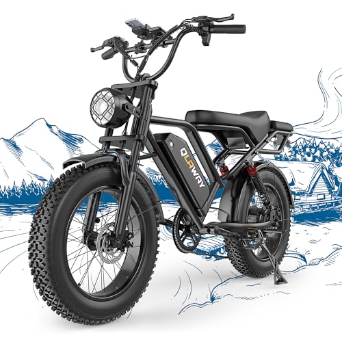 Fat Tire Electric Dirt Bike 750w for Adults 20