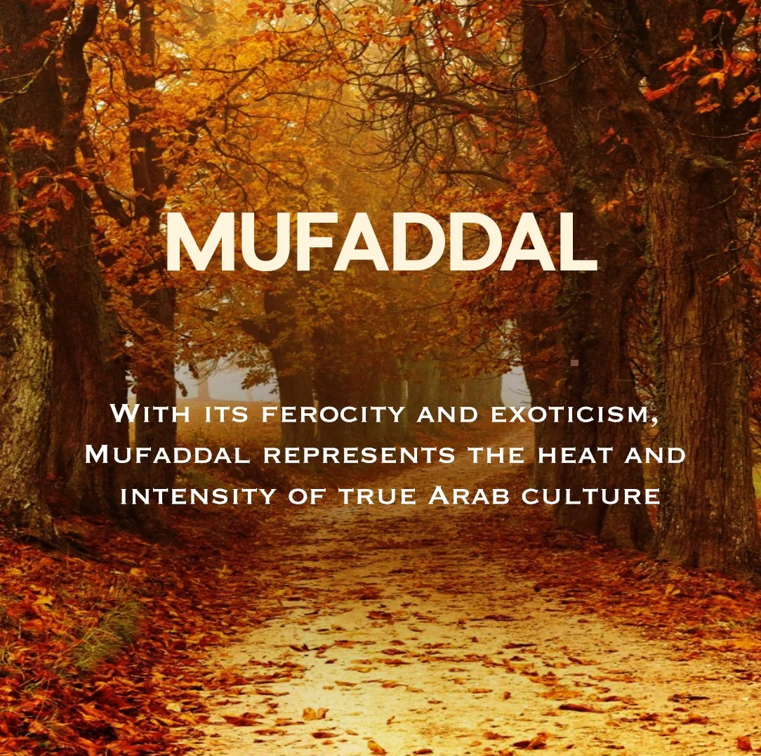 Mufaddal Aqua Perfume Arabic Non Alcoholic Bergamot Leather Musk Men Parfum by Naseem