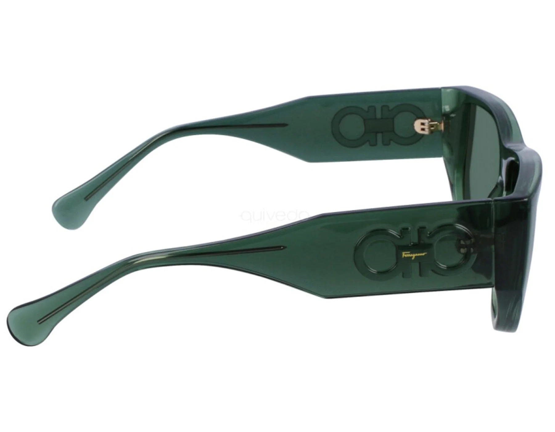 Sunglasses FERRAGAMO SF 1077 S 317 Transparent Green