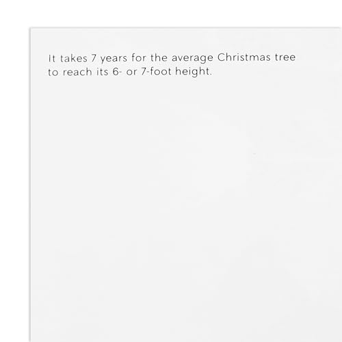 Hallmark UNICEF Boxed Christmas Cards, Here Comes Christmas (20 Cards and 20 Envelopes)