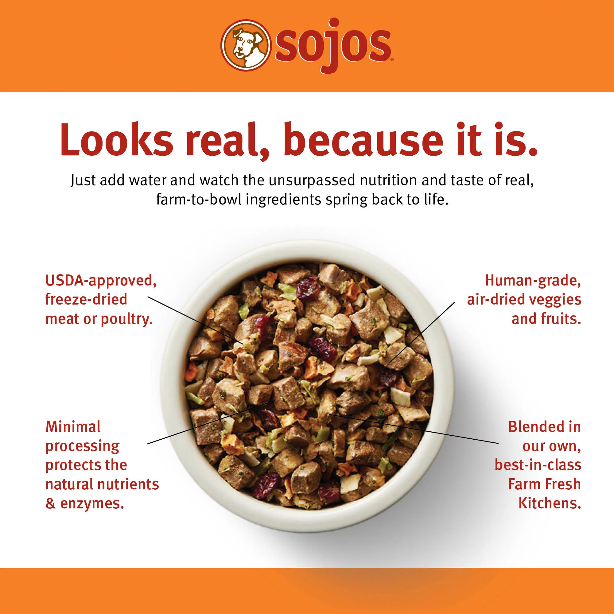 Sojos Complete Turkey Recipe Adult Grain-Free Freeze-Dried Raw Dog Food, 1.75 Pound Bag