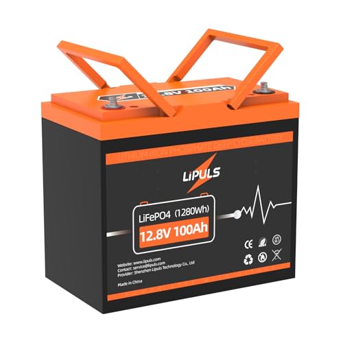 12.8V 100Ah LiFePO4 Battery Lithium Deep Cycle Battery, Group 24 Size Built-in 100A BMS, Max.1280Wh Lithium Iron Phosphate Battery, 10-Year Lifespan, Perfect for RV, Solar Panel, Trolling Motor