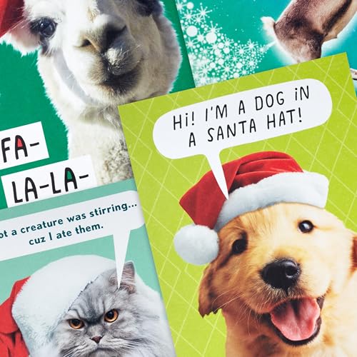 Hallmark Shoebox Funny Boxed Christmas Cards (24 Cards and 24 Envelopes) Dog, Cat, Llama, Reindeer