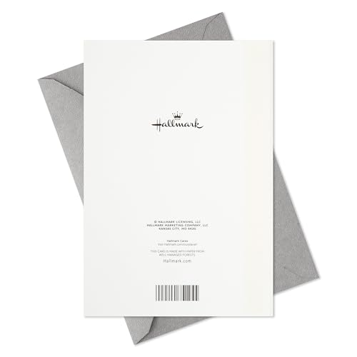 Hallmark Boxed Holiday Cards, Red and Gold Snowflake (40 Cards with Envelopes)