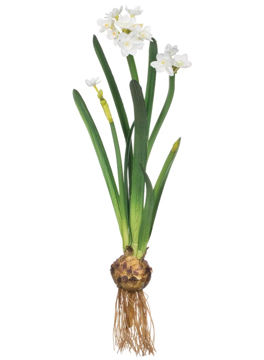 Sullivans Artificial Paperwhite With Bulb Stem 20