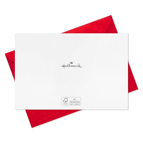 Hallmark Boxed Christmas Cards, Painted Cardinal (40 Cards and 40 Envelopes) Beautiful Christmas