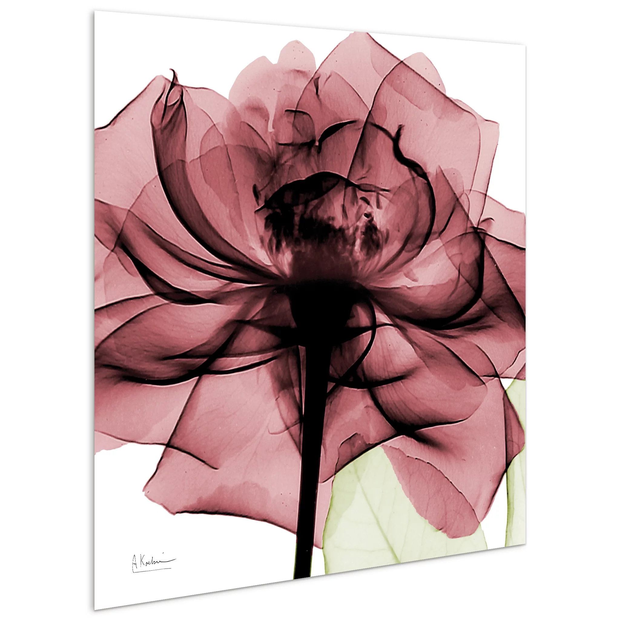 Empire Art Direct Chianti Rose I & II Frameless Free Floating Tempered Glass Panel Graphic Wall Art, 24