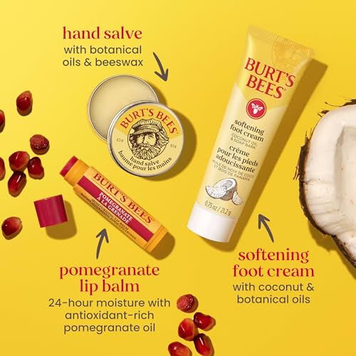 Burt's Bees Gifts Ideas - Classics Set, 6 Products in Giftable Tin – Cuticle Cream, Hand Salve, Lip Balm, Res-Q Ointment, Hand Repair and Foot Cream