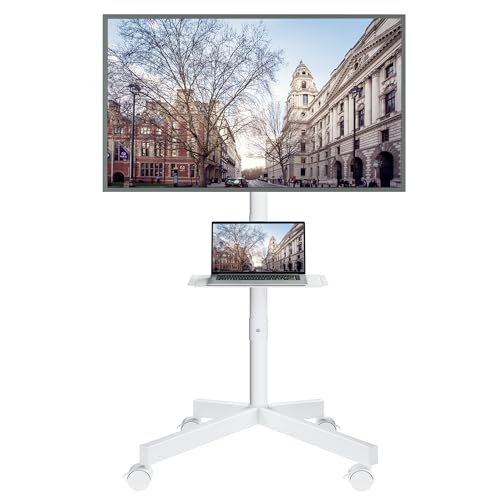 BONTEC Mobile TV Stand with Tilt Function, Rolling TV Stand for 23-60