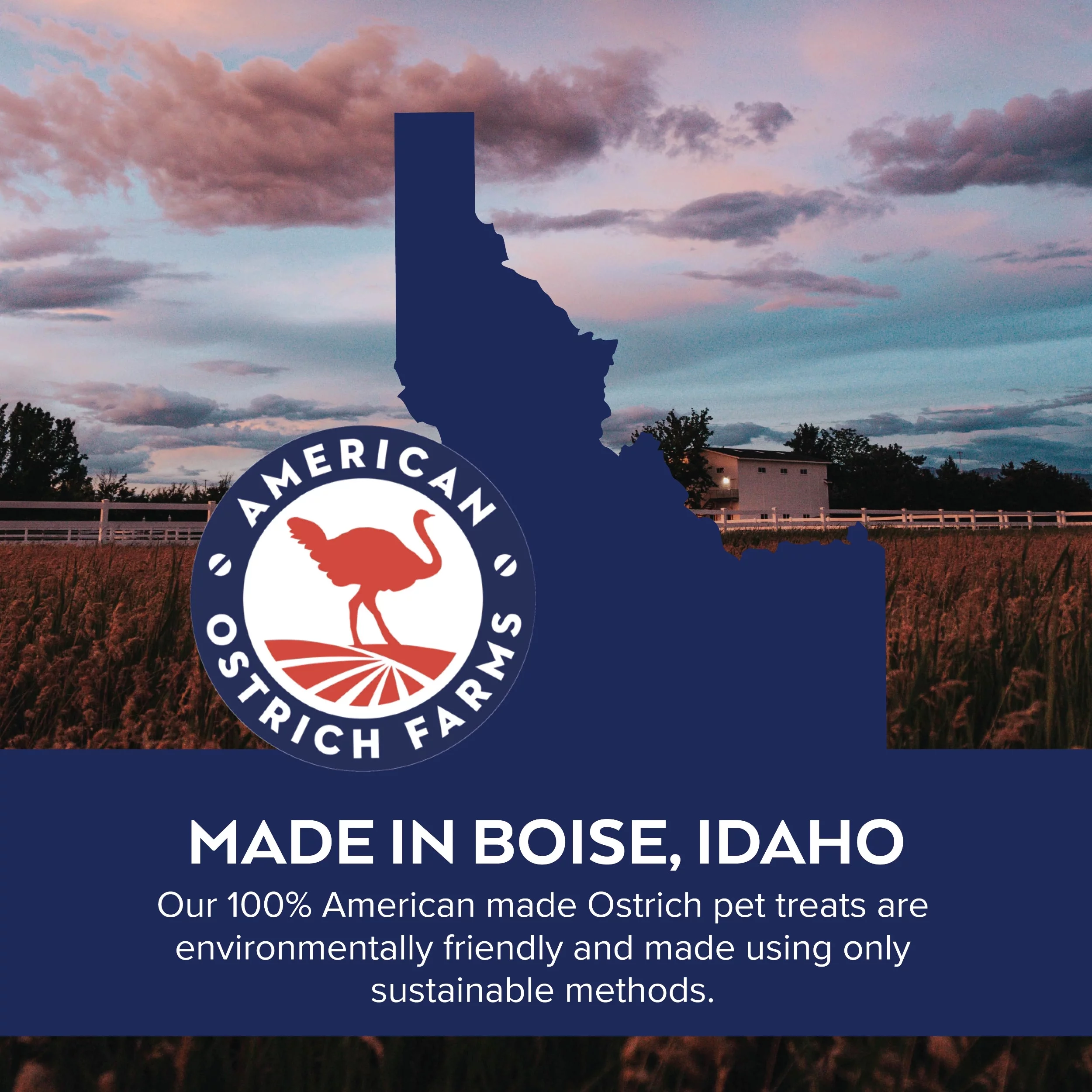 Freeze-Dried Steak Bites