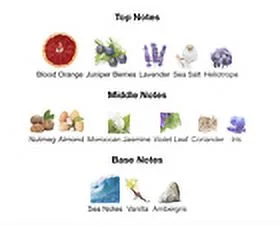 City Rhythm Fragrance: San Diego 10ml