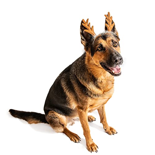 Midlee Furry Antlers Dog Headband