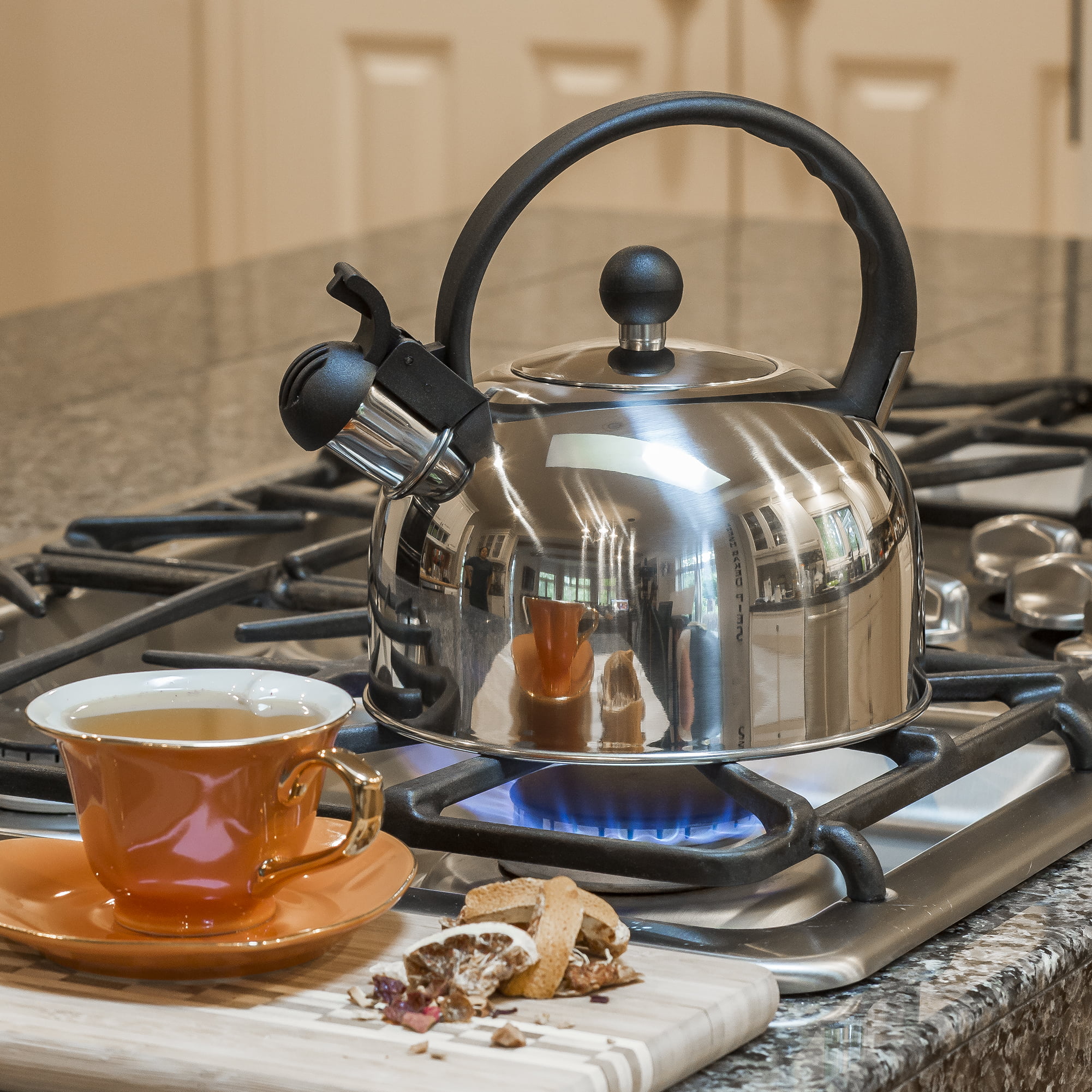 Primula Liberty 2.5 Qt. Stainless Steel Whistling Kettle, Polished