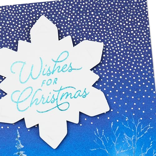 Hallmark Boxed Christmas Cards, Snowy Wreath (40 Cards and Envelopes)