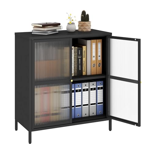 Metal Storage Cabinet with 2 Door, Steel Locker Sideboard Buffet Cabinet Console Table for Home Office (Black)