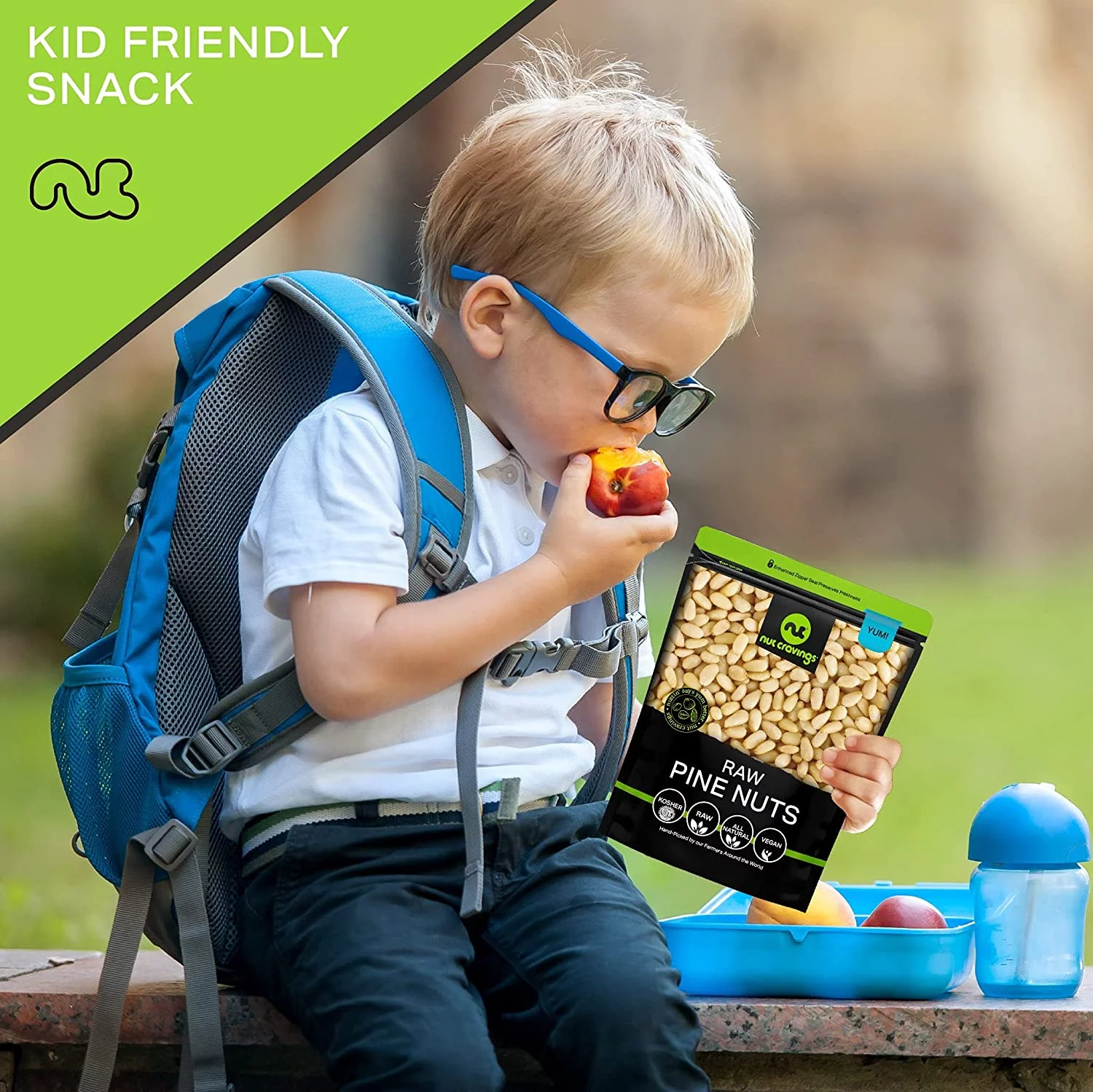 Premium Pine Nuts All Natural, Kosher, Vegan, Raw Pignolias by Nut Cravings (16oz - 1 lbs)