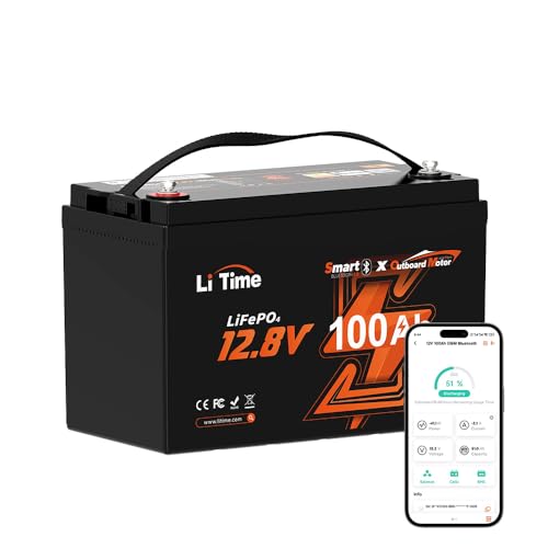 LiTime 12V 100Ah LiFePO4 Battery BCI Group 31 Lithium Battery Built-in 100A BMS, Up to 15000 Deep Cycles, Perfect for RV, Marine, Home Energy Storage