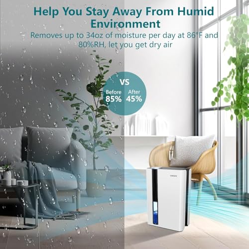 95oz Dehumidifiers for Home, 800 sq ft Dehumidifier Reusable Filter, Small Dehumidifier with Drain Hose, Dehumidifiers for Bedroom Bathroom Basements Closet RV