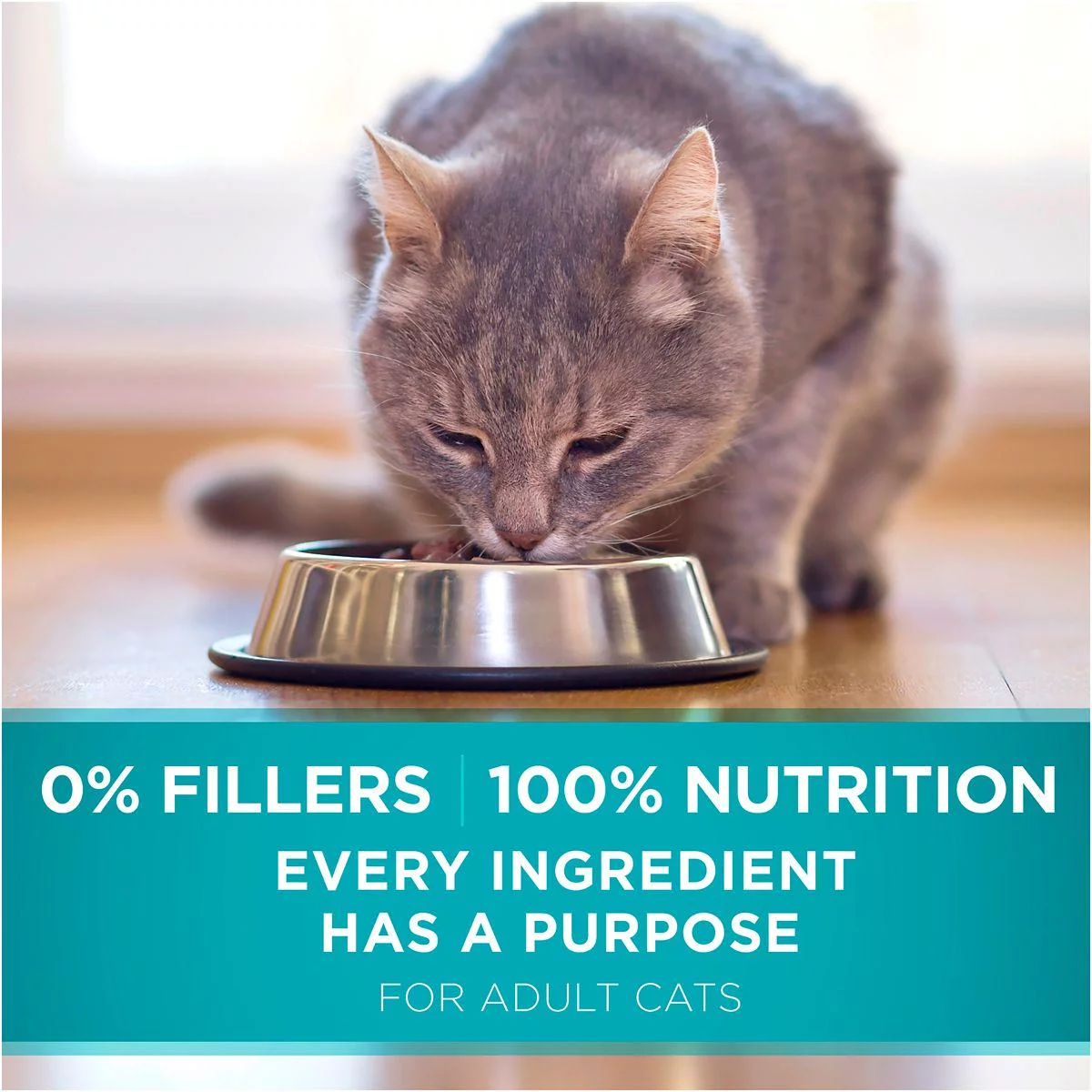 Purina ONE Tender Selects Adult Salmon Blend Recipe Dry Cat Food, 7 lb. Bag