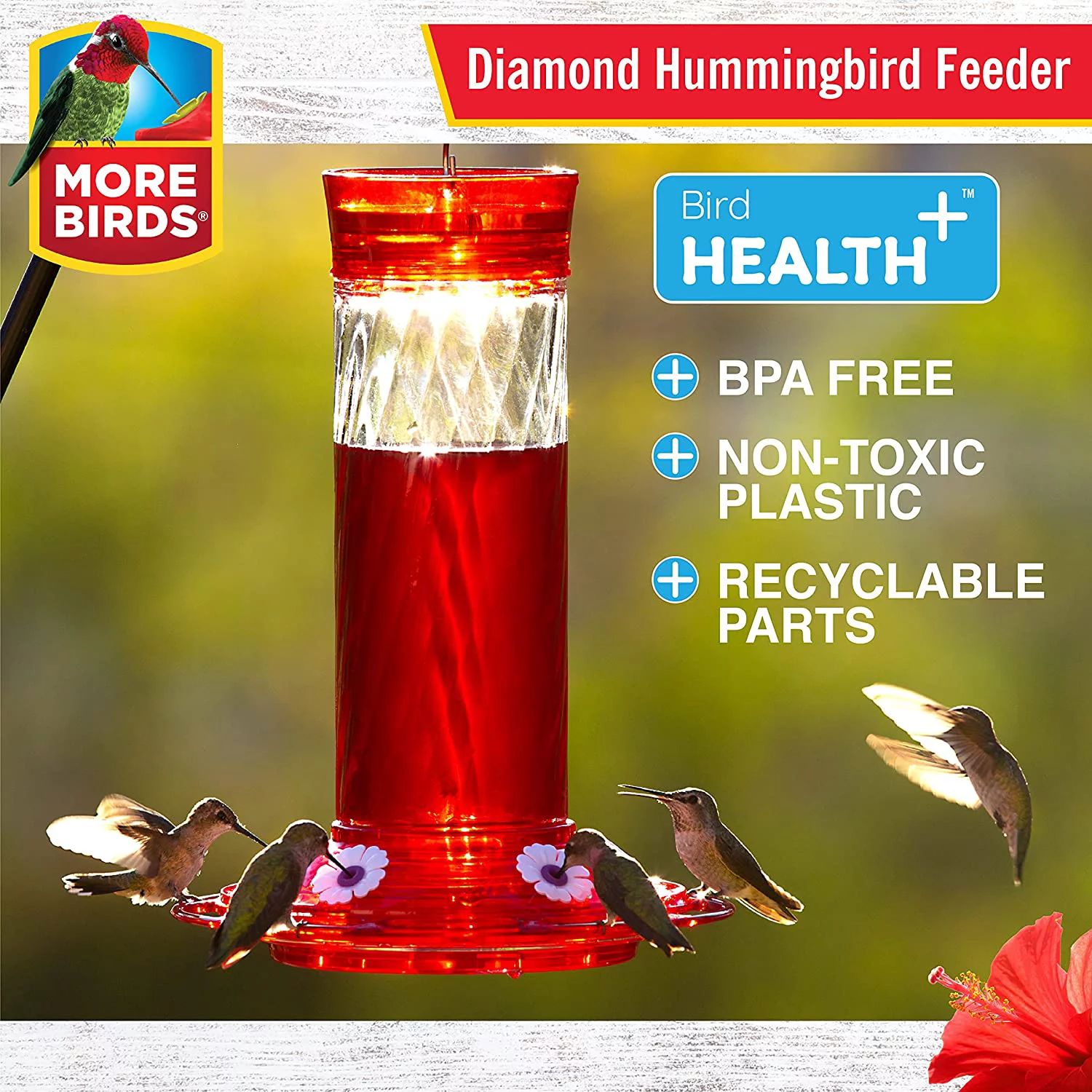 More Birds Diamond Glass Bottle Hummingbird Feeder, 30-Oz Nectar Capacity