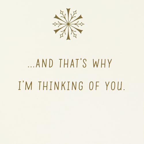 Hallmark Boxed Holiday Cards, Red and Gold Snowflake (40 Cards with Envelopes)