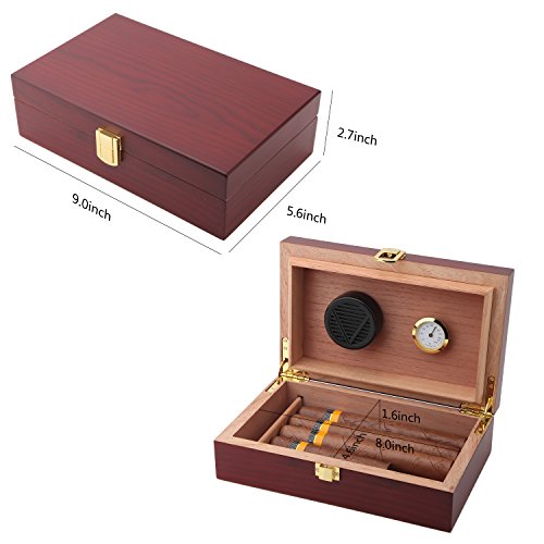 Bald Eagle Handmade Cigar Humidor, Cedar Cigar Desktop Box with Humidifier and Hygrometer, Glass Top for 25 Cigars (20-25 Cigars)