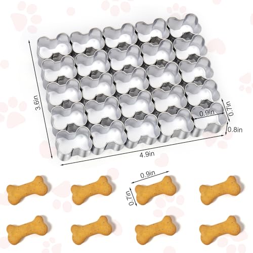 AIERSA Mini Gingerbread Cookie Cutter,Small Christmas Cookie Cutters,1 Inch Tiny Gingerbread Man Shapes Cookie Cutter,20 Cavity Metal Stainless Steel Christmas Cookie Cutters