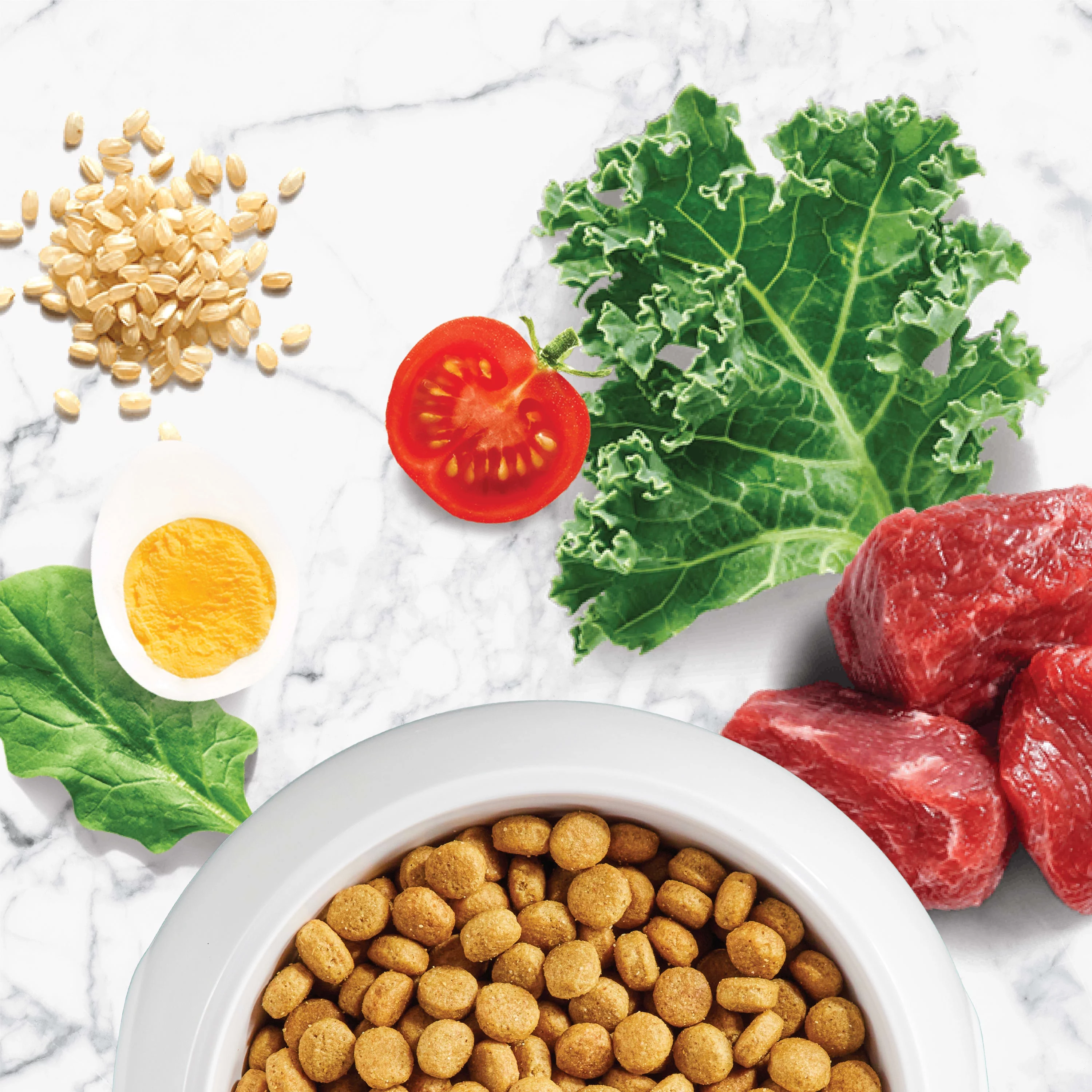 Nutro Natural Choice Lamb and Brown Rice Recipe Dry Dog Food, 30 lb Bag