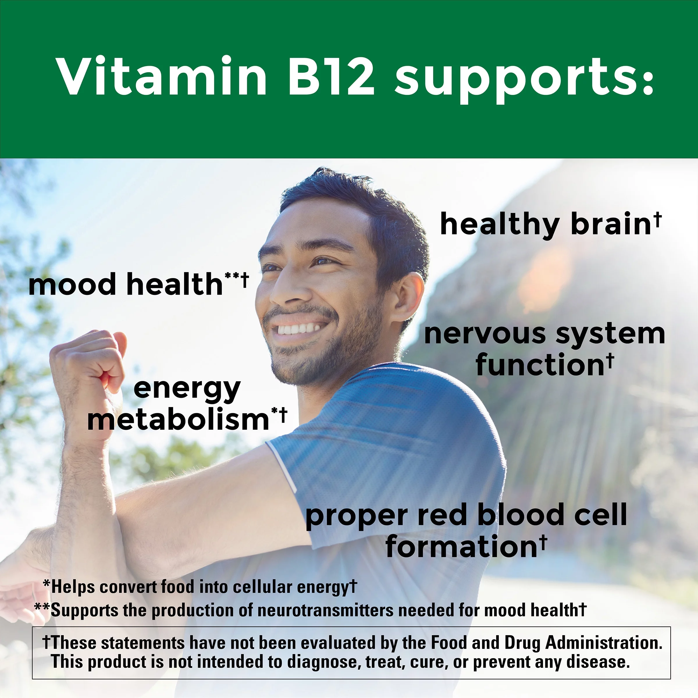 Nature Made Vitamin B12 1000 mcg Softgels, Dietary Supplement, 310 Count
