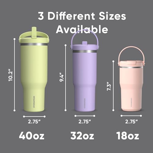Hydrapeak Nomad 24 oz Tumbler with Handle and Straw Lid, Leakproof, Double Insulated, 24oz Cup Stainless Steel (Blush)