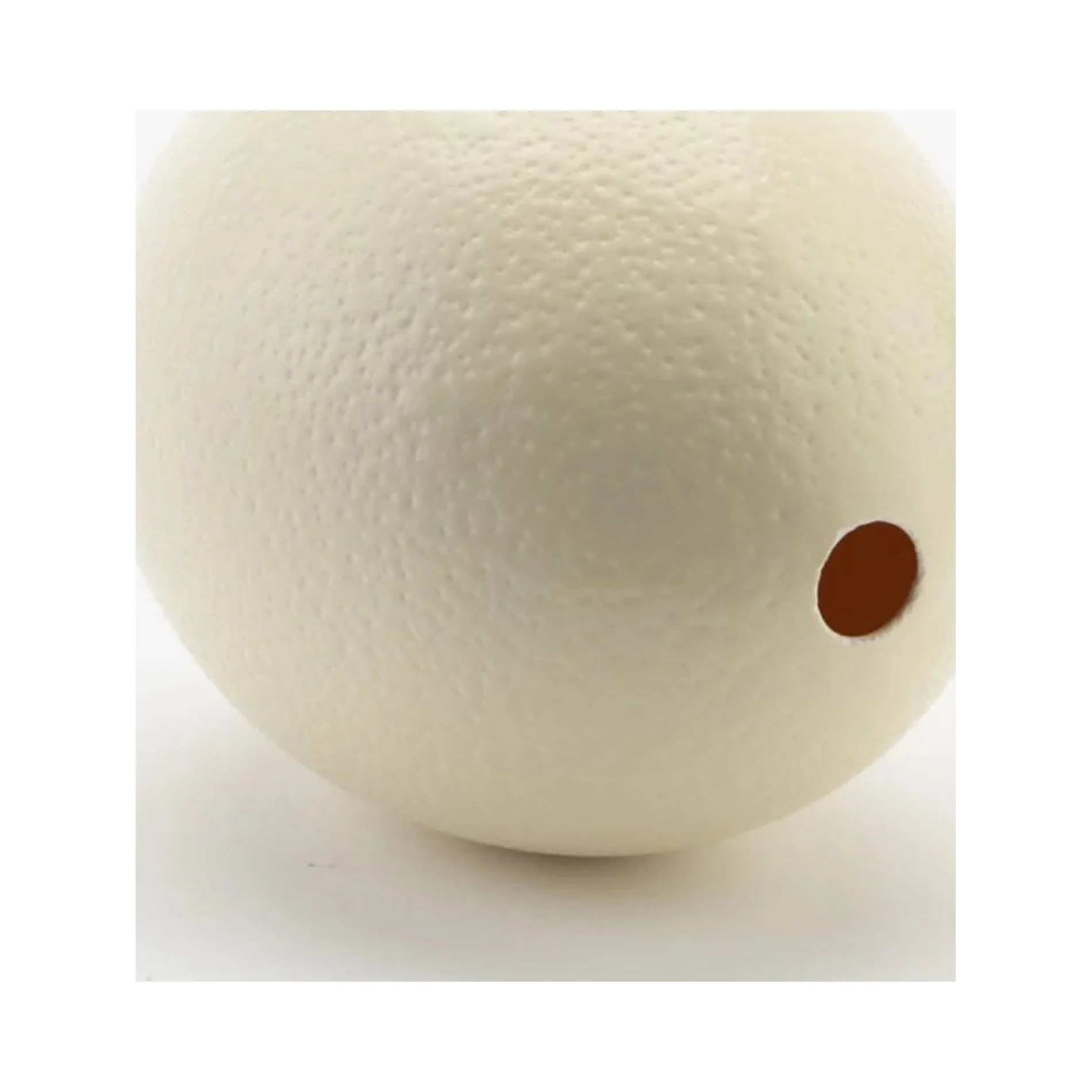 Ostrich Eggshells [Natural Sheen]