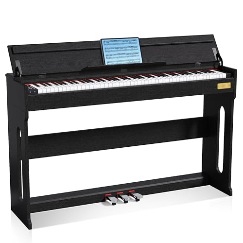 Digital Piano 88 Keys,Keyboard Piano,Touch-Sensitive,Electric Piano,Semi Weighted,Upright,Acoustic,Beginners,Adults,Full Size,Stand,Pedal,SR-EH60(Black)