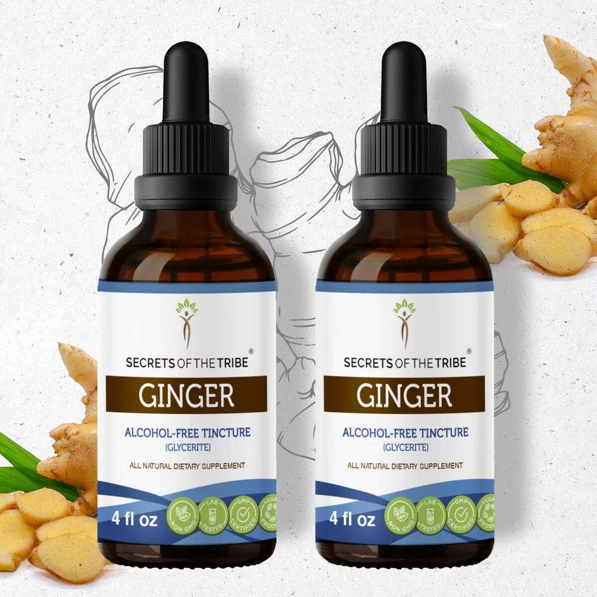 Ginger Tincture Alcohol-FREE Extract, Organic Ginger Zingiber officinale Healthy Digestion 2x4 oz
