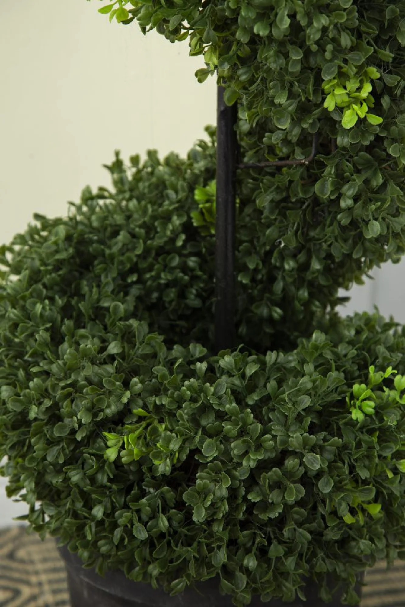 CC Home Furnishings Potted Spiral Boxwood Topiary Artificial Tree - 5'