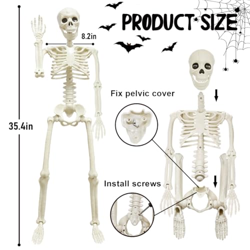 UMEELR 5.9FT Poseable Life Size Skeleton, Plastic Full Size Human Skeleton with Movable Joints for Halloween Garden Party Decoration